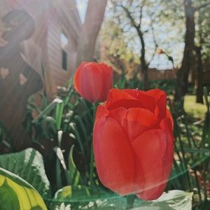 Meet your Posher, Maria